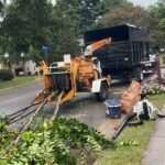 Some of our tree service work (6)