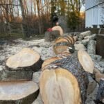Some of our tree service work (8)